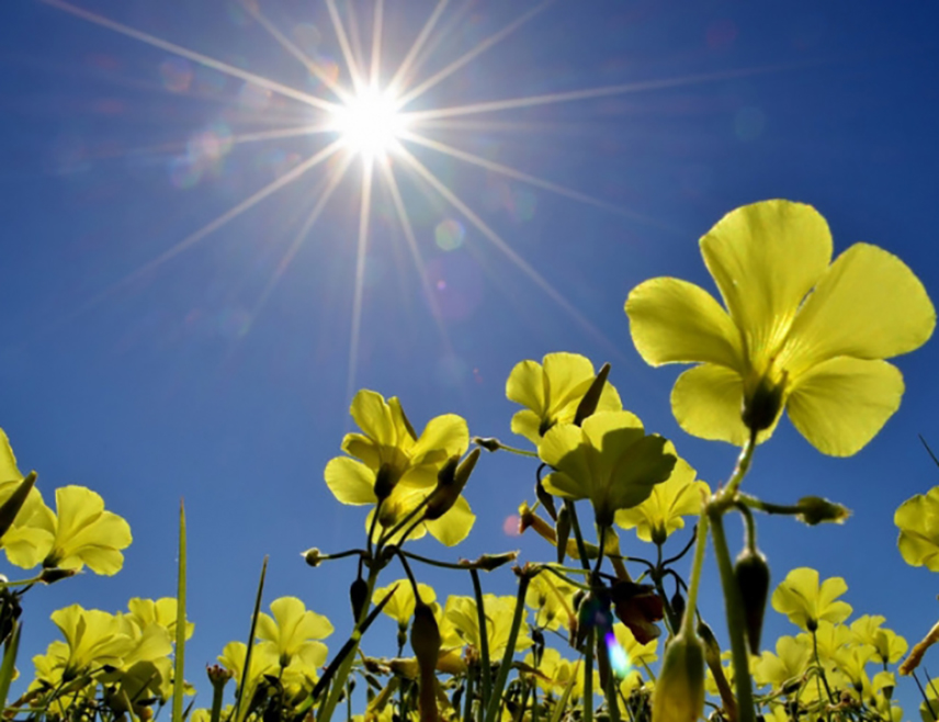 ИСТОЧНО САРАЈЕВО, 17. АПРИЛА /СРНА/ – У Републици Српској и Федерацији БиХ /ФБиХ/сутра ће бити претежно сунчано и топло уз малу до умјерену облачност.