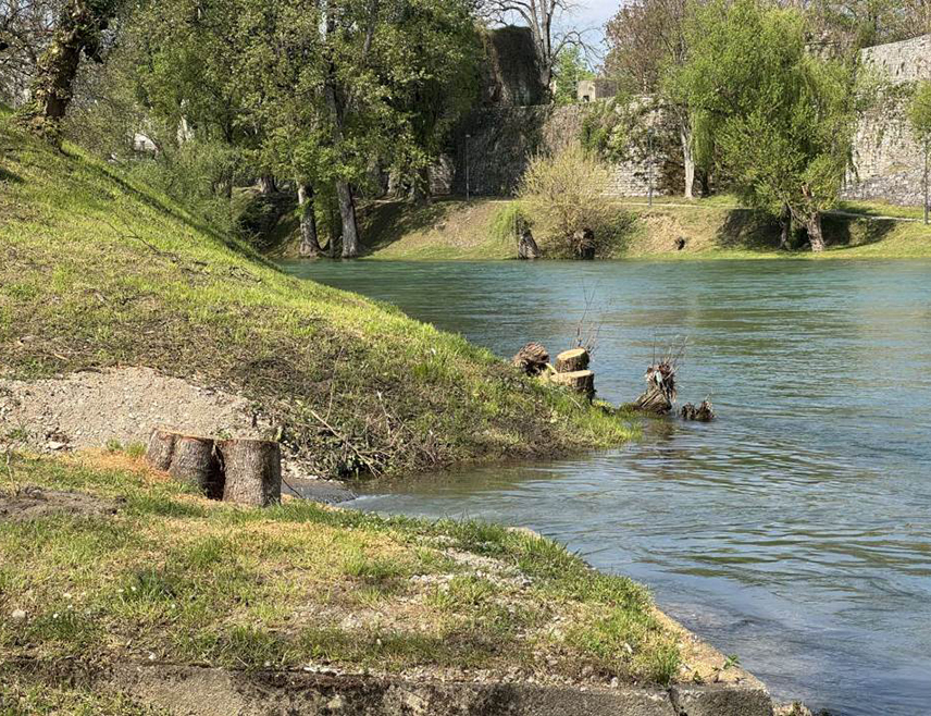БАЊАЛУКА, 18. АПРИЛА /СРНА/ - Професор бањалучког Шумарског факултета Маријана Каповић Соломун рекла је Срни да је сјеча стабала на обали ријеке Врбас у Бањалуци нешто што се апсолутно не смије толерисати, истичући да је улога зеленила незамјењива.
