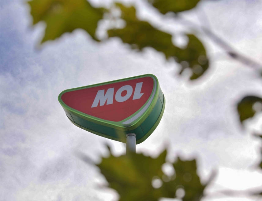 БУДИМПЕШТА, 23. АПРИЛА /СРНА-Ројтерс/ - Мађарска нафтна група МОЛ саопштила је да је почела да прима сирову нафту преко цјевовода "Дружба".