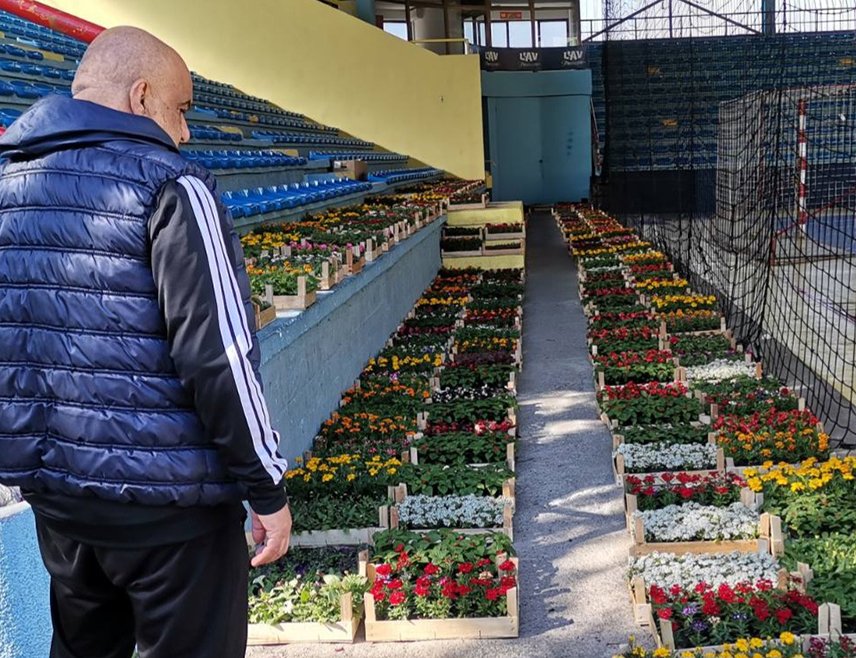 ДОБОЈ, 24. AПРИЛА /СРНА/ - У Добоју је почела подјела око 12.100 садница за 110 корисника предшколских и школских установа, те заједнице етажних власника које су се пријавиле на позив Градске управе "За љепши и уређенији Добој".