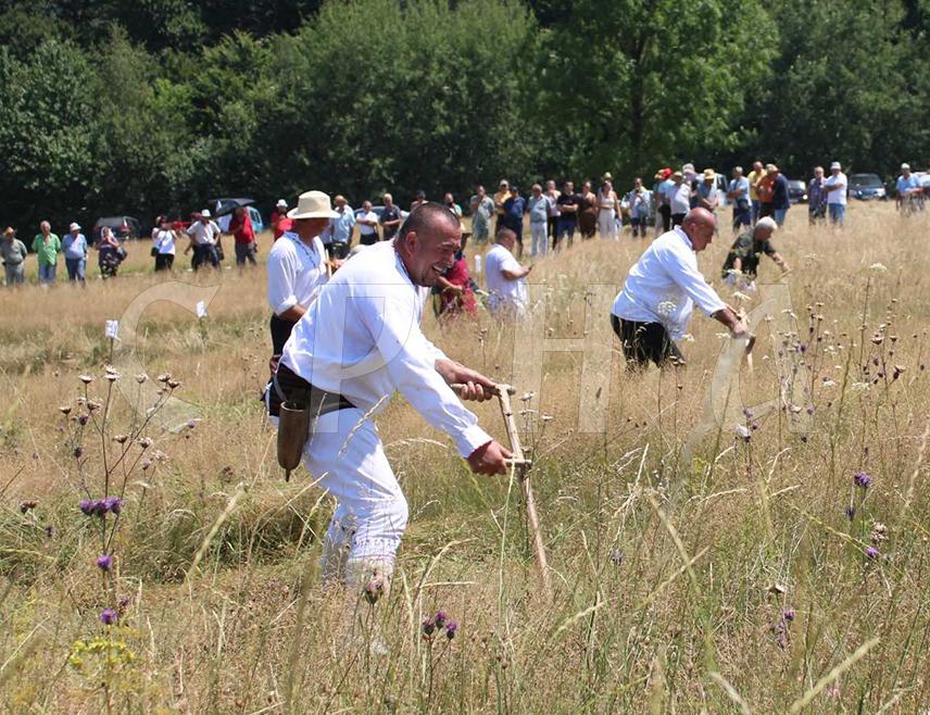 ДРИНИЋ, 25. АПРИЛА /СРНА/- Општина Петровац - Дринић позната је као крај који обилује шумама, јер је од 13.000 хектара површине, на колико се простире, под шумом скоро 11.000, рекао је Срни радник Шумског газдинства "Оштрељ-Дринић" и познати косац из овог краја Мирко Кецман.