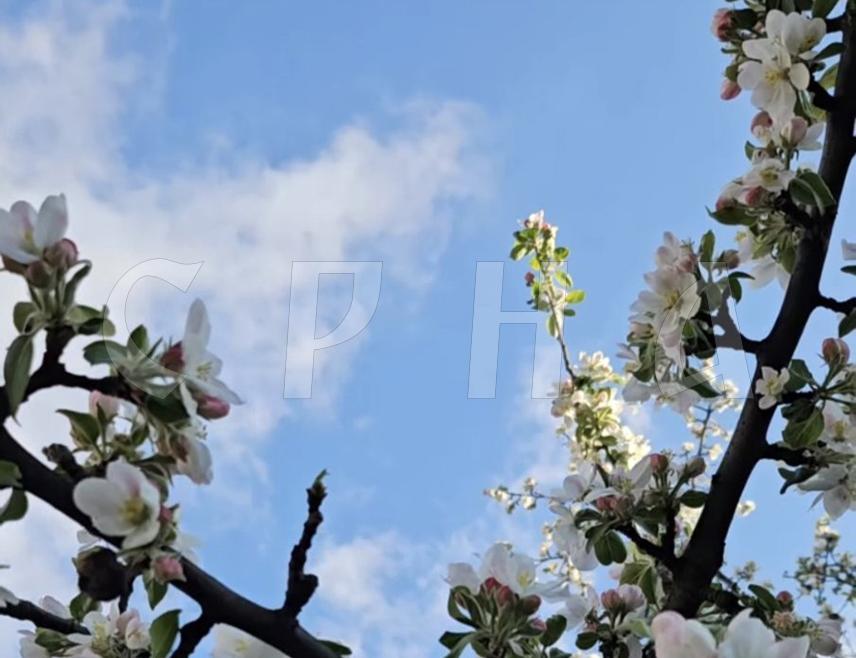 БИЈЕЉИНА, 26. АПРИЛА /СРНА/ - У Републици Српској и Федерацији БиХ /ФБиХ/ сутра ће бити претежно сунчано и топло, уз дневну температуру до 26 степени Целзијусових.