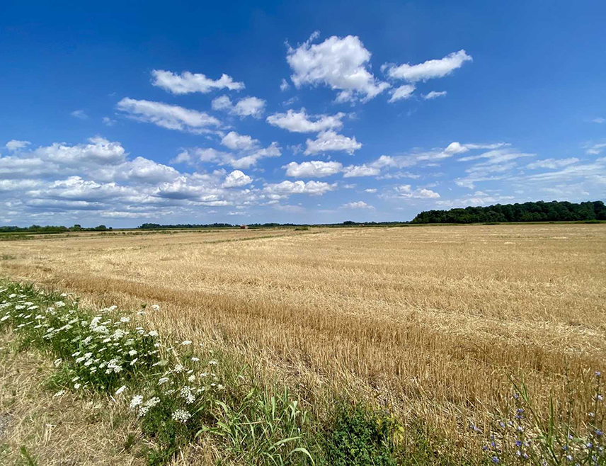 ИСТОЧНО САРАЈЕВО, 26. АПРИЛА /СРНА/ - У Републици Српској и Федерацији БиХ /ФБиХ/ сутра се очекује сунчано и пријатно топло вријеме, уз највишу температуру до 26 степени Целзијусових.