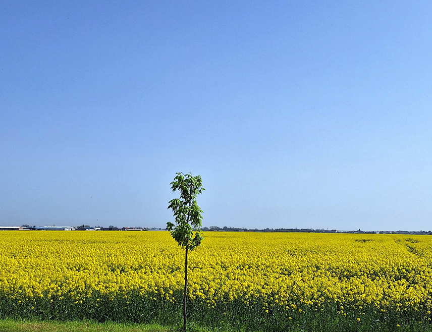 БАЊАЛУКА, 27. АПРИЛА /СРНА/ - У Републици Српској ће у петак, 1. маја, бити претежно сунчано вријеме, након хладнијег јутра, подаци су Републичког хидрометеоролошког завода.