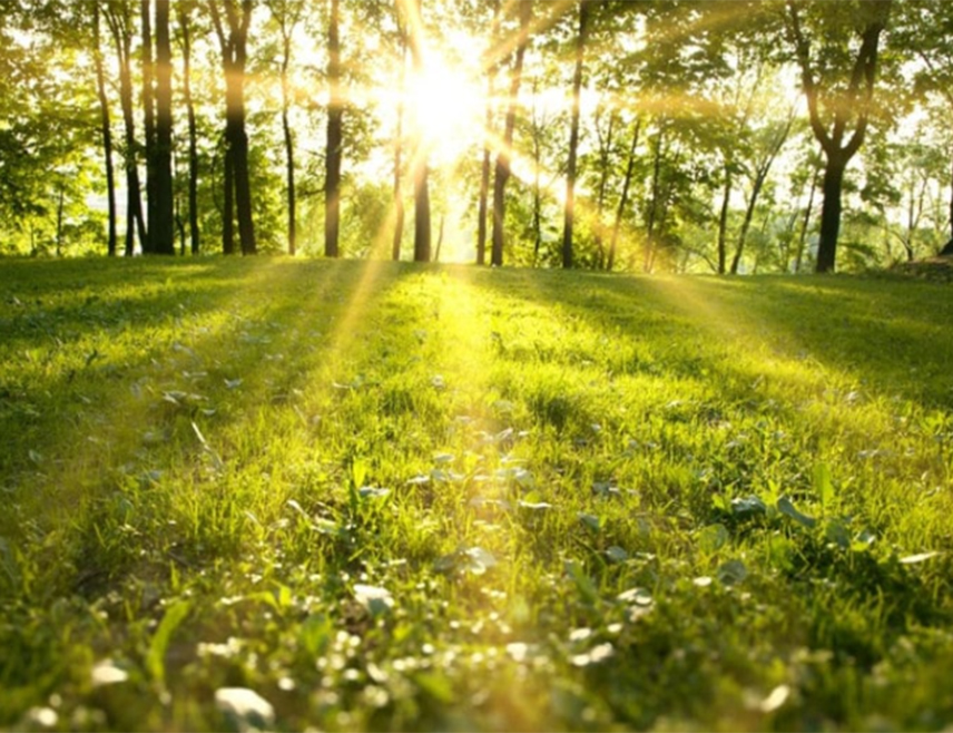 БАЊАЛУКА, 29. АПРИЛА /СРНА/ - У Републици Српској ће за Међународни празник рада, 1. мај, бити претежно сунчано вријеме, уз умјерен до јак сјеверни вјетар и максималну температуру до 20 степени Целзијусових.