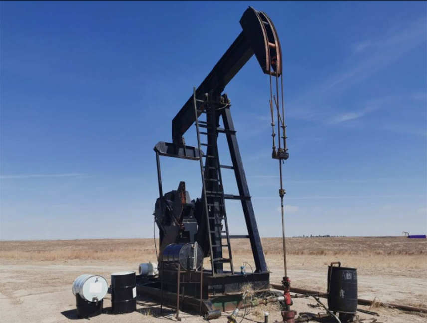 ПЕКИНГ, 29. АПРИЛА /СРНА - РИА Новости/ - У Кини је откривено 225 нових нафтних и гасних поља, међу којима су и велика, али и поља средње величине, саопштено је из кинеског Министарства за природне ресурсе.