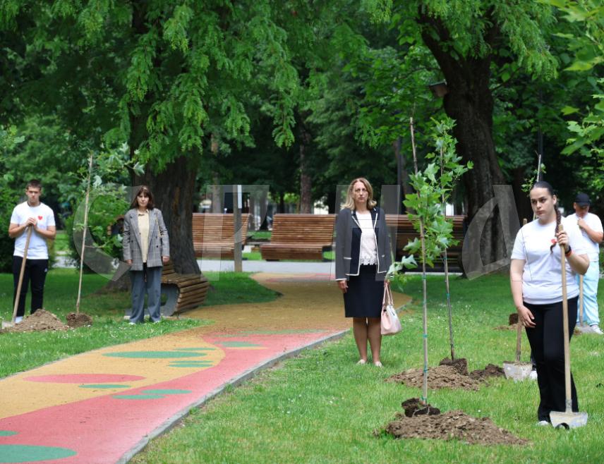 БАЊАЛУКА, 22. МАЈА /СРНА/ - У Парку Младена Стојановића у Бањалуци данас су засађена стабла и формирана "Алеја 12 беба"  као трајни подсјетник на један од најпотреснијих догађаја у новијој историји - угашене животе 12 беба које су 1992. године умрле због неразумијевања свјетских моћника који нису дозволили транспорт кисеоника.
