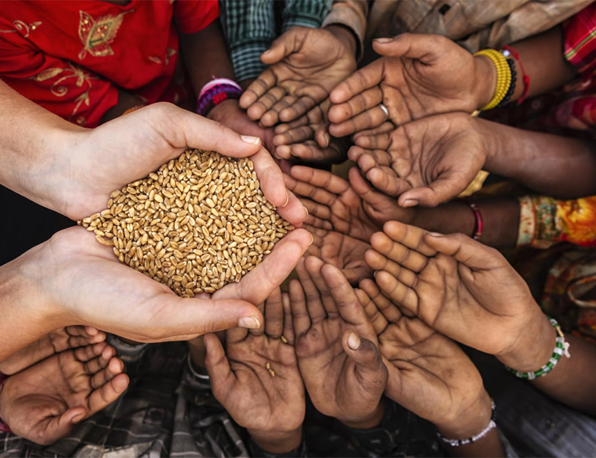 ЊУЈОРК, 21. ЈУЛА /СРНА/ - Глобална стопа глади је опала трећу годину заредом у 2025. години, са побољшањима забиљеженим на свим континентима, иако би растући ризици од климатских шокова и поремећаја у трговини могли да угрозе даљи напредак, наводи се у извјештају УН.