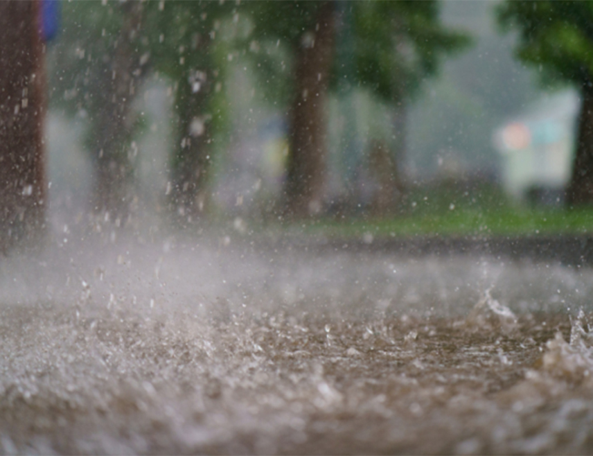 SKOPLJE, JULY 22 /SRNA/ - Fifteen people were injured in the severe weather that swept through Skopje; all were taken to hospital, with two women sustaining more serious injuries.