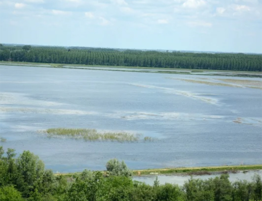 BELGRADE, JULY 29 /SRNA/ - A state of emergency was declared today in the areas of Sombor, Kula and Vrbas due to the Danube's historically low water level and the extremely unfavourable hydrological situation.