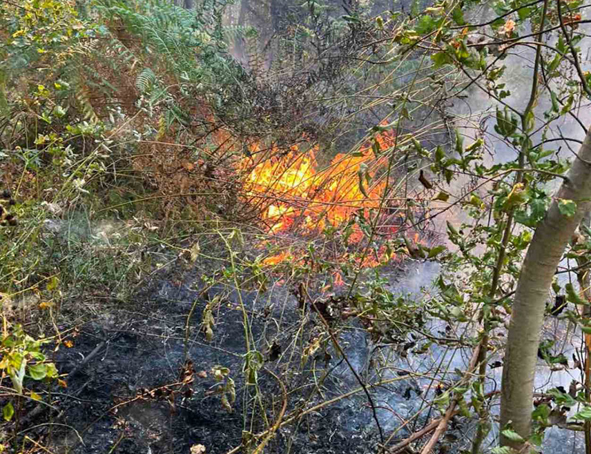 ZVORNIK, AUGUST 24 /SRNA/ - The fire that has engulfed the area around the Zvornik settlement of Kamenica is spreading down from the Veljova Glava area toward houses and other buildings, while teams from the city's Professional Fire and Rescue Unit have been on the ground since this morning; however, difficult terrain is hampering firefighting, the Zvornik City Administration said today.