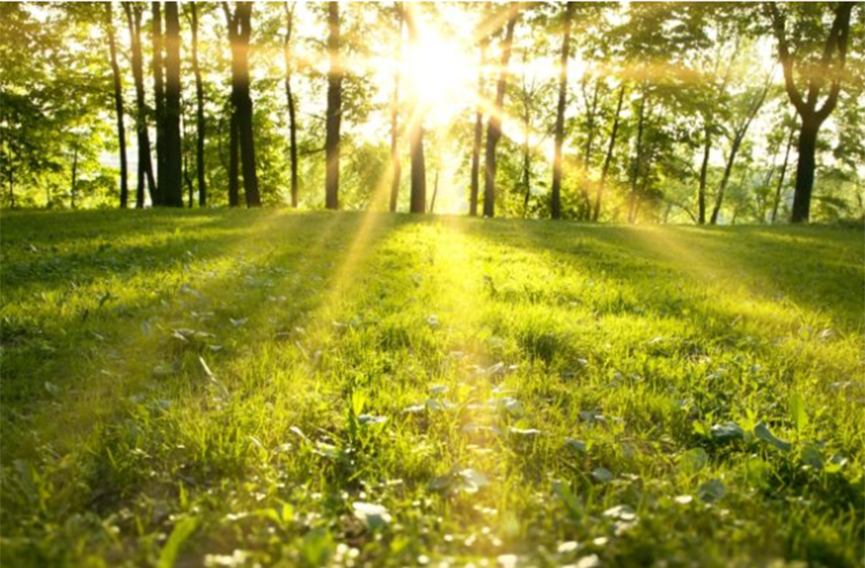 САРАЈЕВО, 25. АВГУСТА /СРНА/ - У Републици Српској и Федерацији БиХ /ФБиХ/ сутра ће бити претежно сунчано и топло вријеме, уз температуру ваздуха до 35 степени Целзијусових.