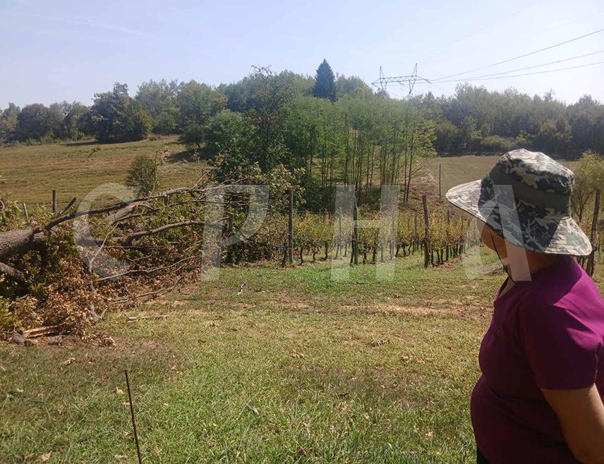 PRNJAVOR, AUGUST 31 /SRNA/ - Prnjavor is currently accepting claims for damage assessment following the severe storm that hit the area on Saturday, August 29, destroying nearly 90 percent of the crop at the Fazan winery in Lišnja.