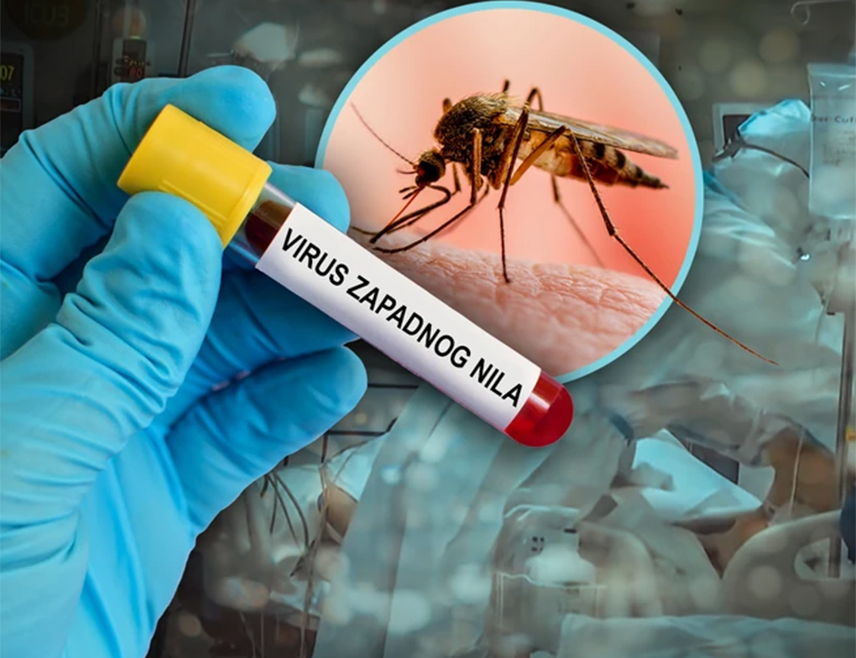 LJUBLJANA, SEPTEMBER 10 /SRNA/ - West Nile virus has been confirmed in dead grey crows found in the Ljubljana area and nearby Grosuplje.
